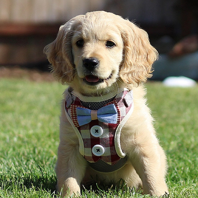 Bark Lover Formal Dog Tuxedo Harness – Plaid Bowtie Vest for Weddings, Parties & Special Occasions
