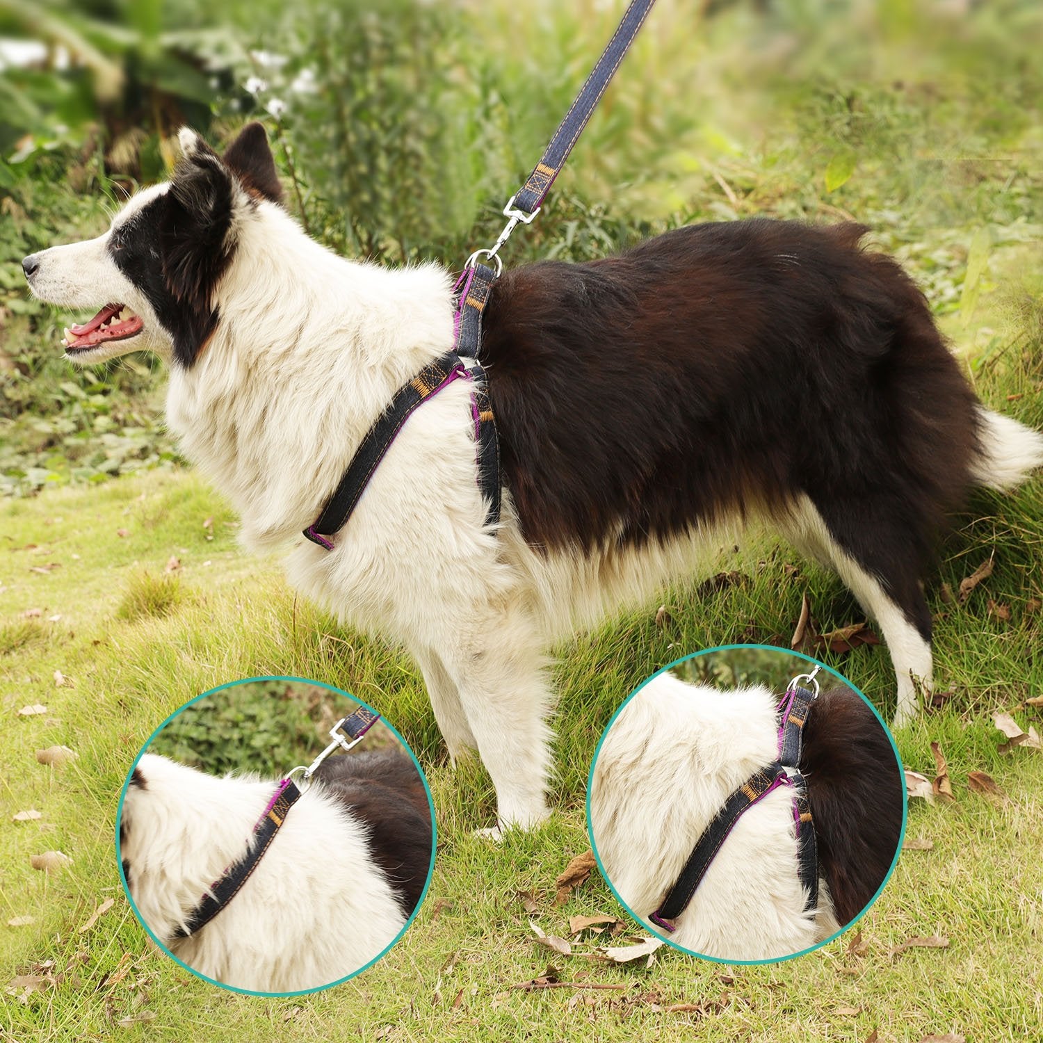 Bark Lover Dog Harness, Leash & Collar Set – Adjustable 3-Piece Walking Set for Small to Large Dogs
