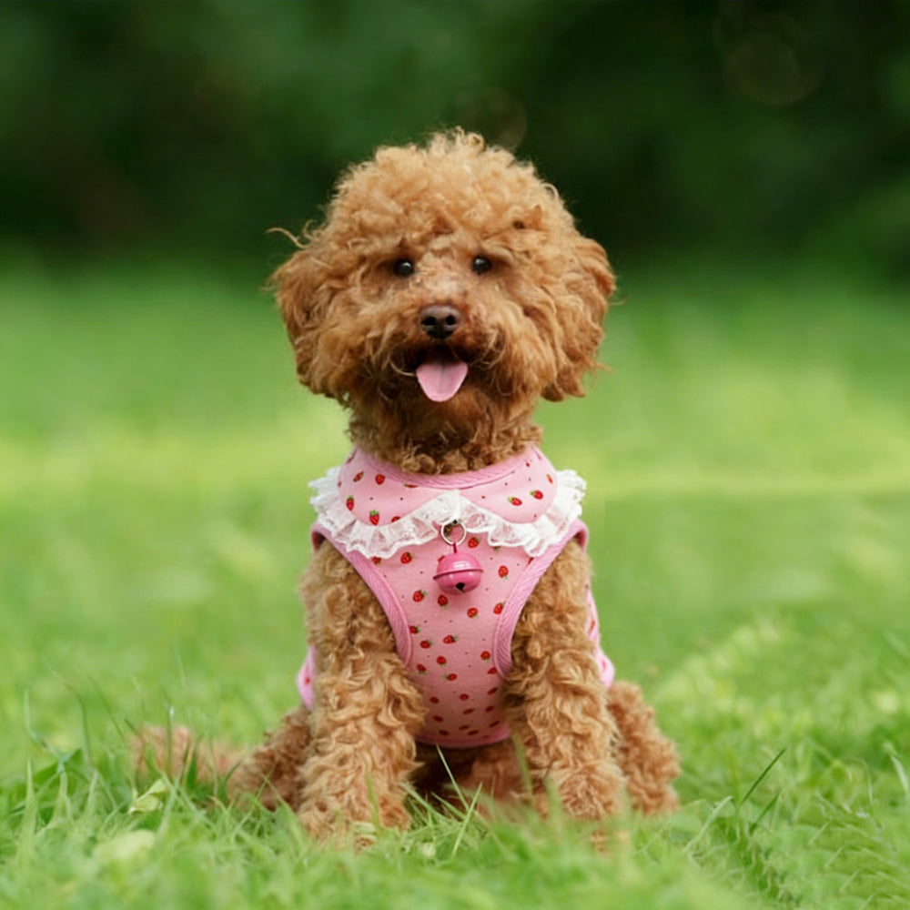 Bark Lover Pink Princess Dog Harness – Soft Lace Step-In Vest for Small Dogs & Puppies