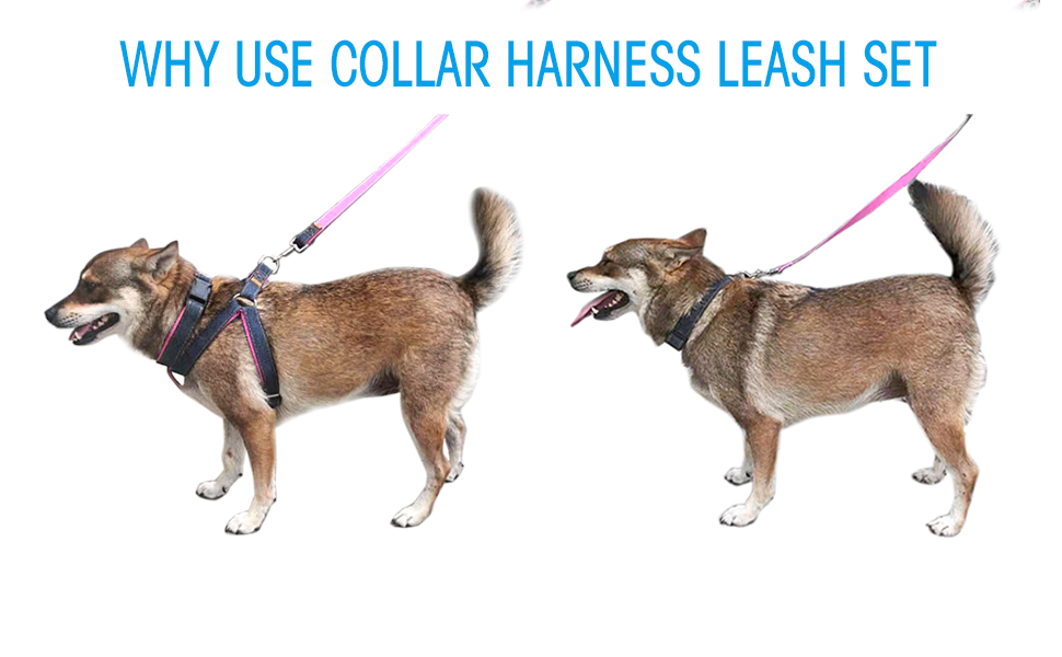 Bark Lover Dog Harness, Leash & Collar Set – Adjustable 3-Piece Walking Set for Small to Large Dogs