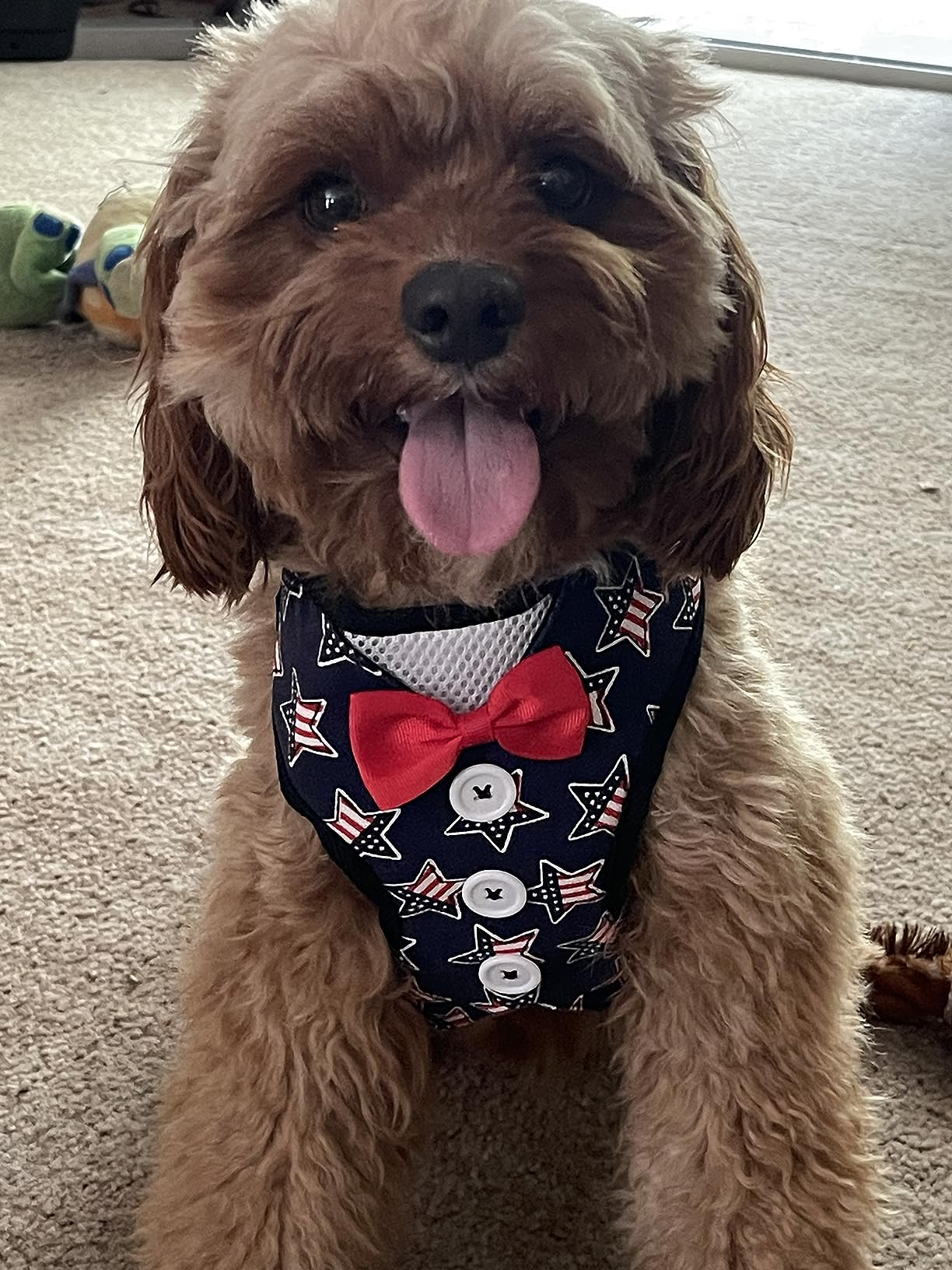 USA Flag Dog Harness with Bow Tie – Patriotic Puppy Vest for 4th of July & Holiday Photos