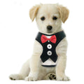Bark Lover Tuxedo Dog Harness with Bowtie – Adjustable H-Style Mesh Harness for Small Dogs & Puppies